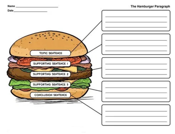 hamburger story organizer 